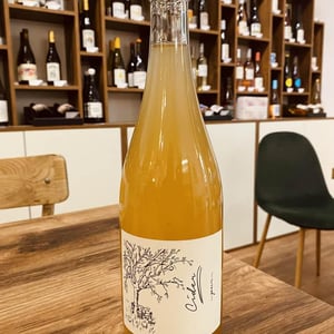 Cider - Brand Bros - Weingut Brand - daniel-jonas-brand -2021
