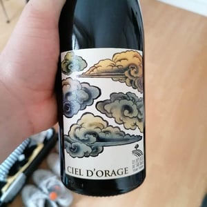 Ciel d'Orage - Les Déplaude de Tartaras - anne-pierre-andre-deplaude