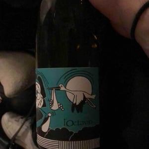 Domaine de l'Octavin - Alice Bouvot - Cigogne