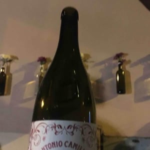 Ciliegiolo - Vini Di Territorio - Antonio Camillo 