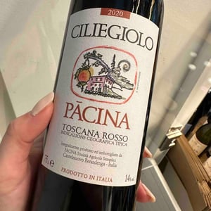 Ciliegiolo Pacina - Azienda Agricola Pācina - giovanna-tiezzi-stefano-borsa-maria-borsa-carlo-borsa-roberto-maccari-elisa