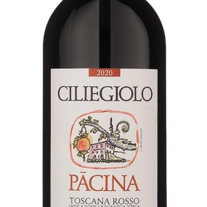 Ciliegiolo Pacina - Azienda Agricola Pācina - giovanna-tiezzi-stefano-borsa-maria-borsa-carlo-borsa-roberto-maccari-elisa