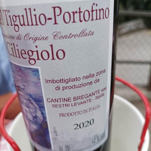Ciliegiolo - Sestri Levante - cantine-bregante