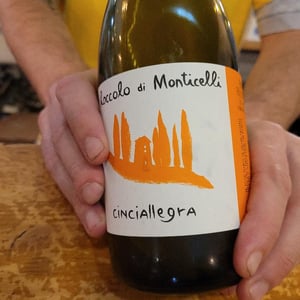 Cinciallegra - Il Roccolo di Monticelli - silvia-tezza -2021