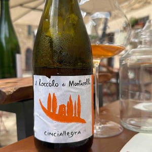 Cinciallegra - Il Roccolo di Monticelli - Silvia Tezza -2021