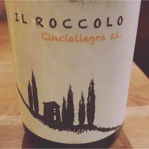 Cinciallegra s.l. - Il Roccolo di Monticelli - silvia-tezza