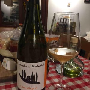Cinciallegra s.l. - Il Roccolo di Monticelli - silvia-tezza