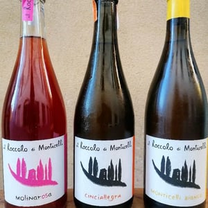 Cinciallegra s.l. - Il Roccolo di Monticelli - silvia-tezza
