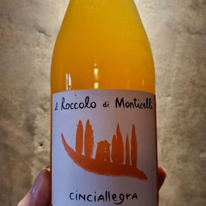 Cinciallegra s.l. - Il Roccolo di Monticelli - silvia-tezza