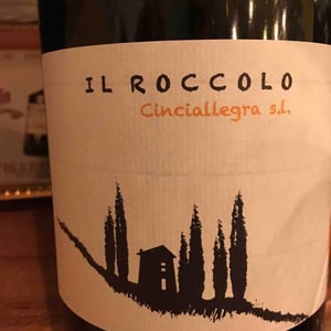 Cinciallegra s.l. - Il Roccolo di Monticelli - silvia-tezza