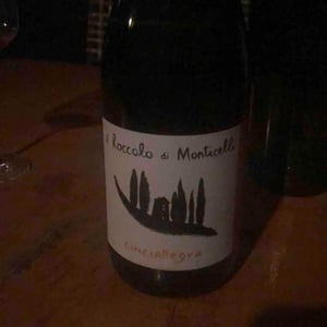 Cinciallegra s.l. - Il Roccolo di Monticelli - Silvia Tezza 