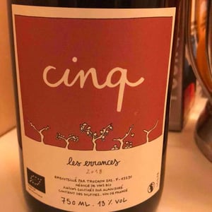 Cinq - Les Errances - warren-truchon-maite-perrocheau