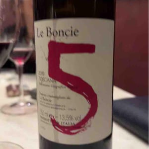 Cinque - Le Boncie - Giovanna Morganti 