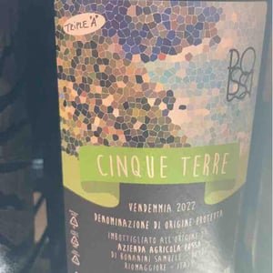 Cinque Terre - Az. Agr. Possa - heydi-samuele-bonanini