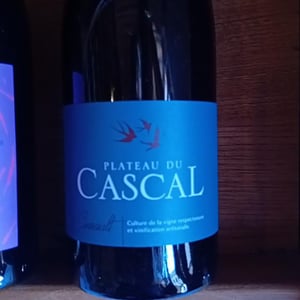 Cinsault - Plateau Du Cascal - sofi-bataillard-et-julien-veyret