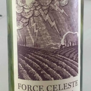 Cinsault - Swartland - force-celeste