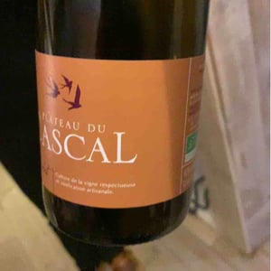 Cinsault - Plateau Du Cascal - Sofi Bataillard et Julien Veyret 