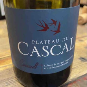 Cinsault - Plateau Du Cascal - Sofi Bataillard et Julien Veyret 