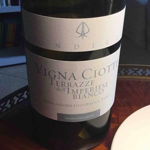 Vigna Ciotti - Rondelli - roberto-rondelli