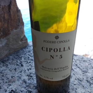 Cipolla N.5 - Podere Cipolla - Denny Bini 