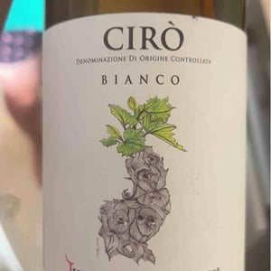 Cirò Rosato - Tenuta Del Conte - mariangela-parrilla -2021