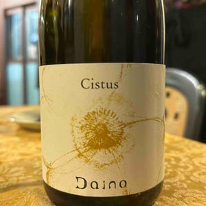 Cistus 2021 - Azienda Agricola Daino - Gianfranco Daino -2021