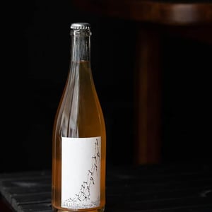 Ciulin - L’absurde Génie Des Fleurs - miha-trifa-tom-gautier