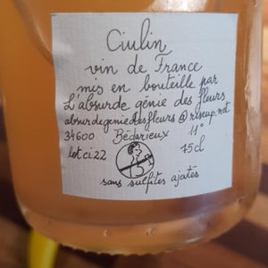 Ciulin - L’absurde Génie Des Fleurs - Miha Trifa & Tom Gautier 