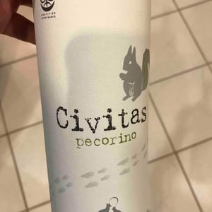 Civitas 2018