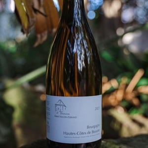 Bourgogne Hautes-Côtes de Beaune - Domaine Henri Naudin-Ferrand - claire-naudin