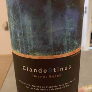 ClandeStinus - Imanol Garay - Imanol Garay 