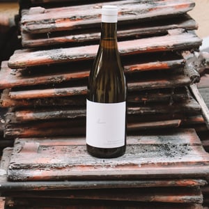 Kalkundkiesel Weiss - Weingut Claus Preisinger - Claus Preisinger 