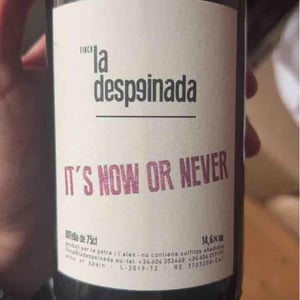 it´s now or never - Finca la Despeinada - Petra y Alex -2022