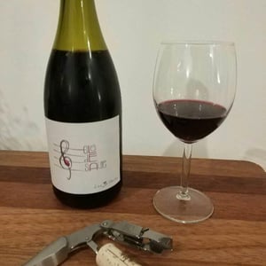 Clé de Saule - Domaine Les 3 Saules - francois-laborie