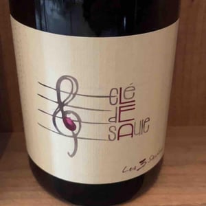 Clé de Saule - Domaine Les 3 Saules - francois-laborie