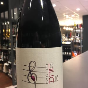 Clé de Saule - Domaine Les 3 Saules - francois-laborie