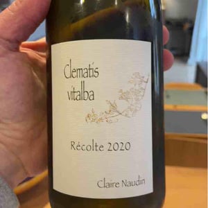 Clematis Vitalba - Domaine Henri Naudin-Ferrand - Claire Naudin 