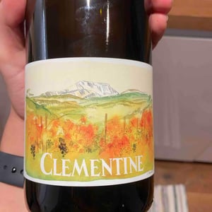 Clémentine - Domaine Rochefontaine - theodore-planas-rastoin -2020