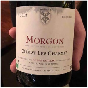 Climat Les Charmes - Clos des Vignes du Maynes - julien-guillot