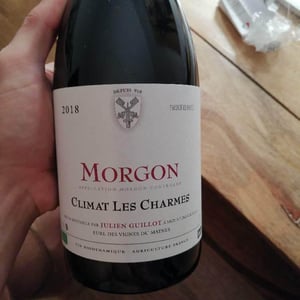 Morgon Climat Les Charmes 2018 - Clos des Vignes du Maynes - Julien Guillot