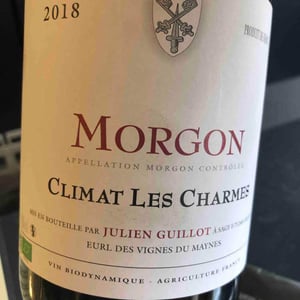 Clos des Vignes du Maynes - Julien Guillot - Climat Les Charmes