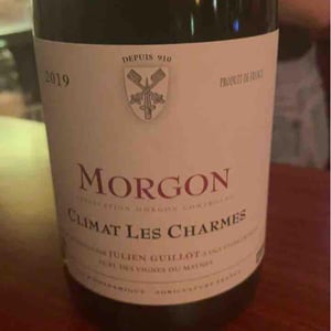 Climat Les Charmes - Clos des Vignes du Maynes - Julien Guillot 