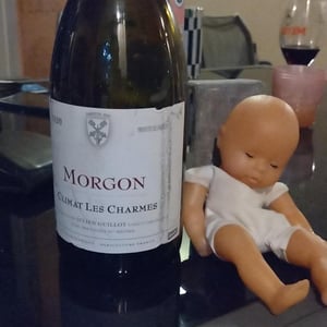 Climat Les Charmes - Clos des Vignes du Maynes - julien-guillot