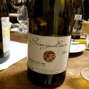 Clos aux Renards Singulier - Domaine Jousset - Lise & Bertrand Jousset 