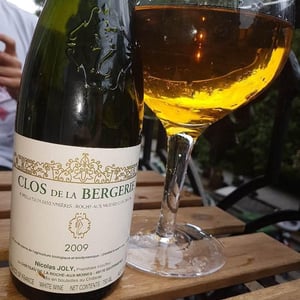 Clos de la Bergerie 2009