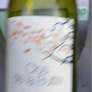 Clos De La Butte - Eric Chevalier Vigneron - gaelle-et-eric-chevalier