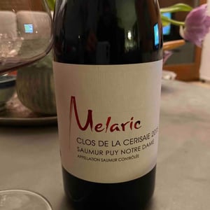 Clos De La Cerisaie Rouge - Domaine Mélaric - aymeric-hillaire-melanie-cunin
