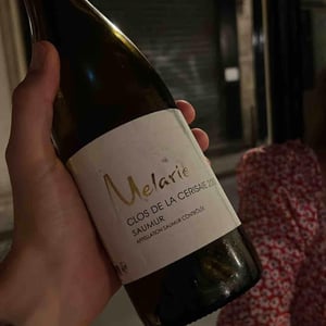Clos de la Ceriseraie Blanc - Domaine Mélaric - aymeric-hillaire-melanie-cunin
