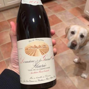 Clos de la Grand'Cour 18 - Domaine de la Grand'Cour - Jean-Louis Dutraive