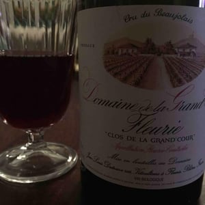 Domaine de la Grand'Cour - Jean-Louis Dutraive - Clos de la Grand'Cour
